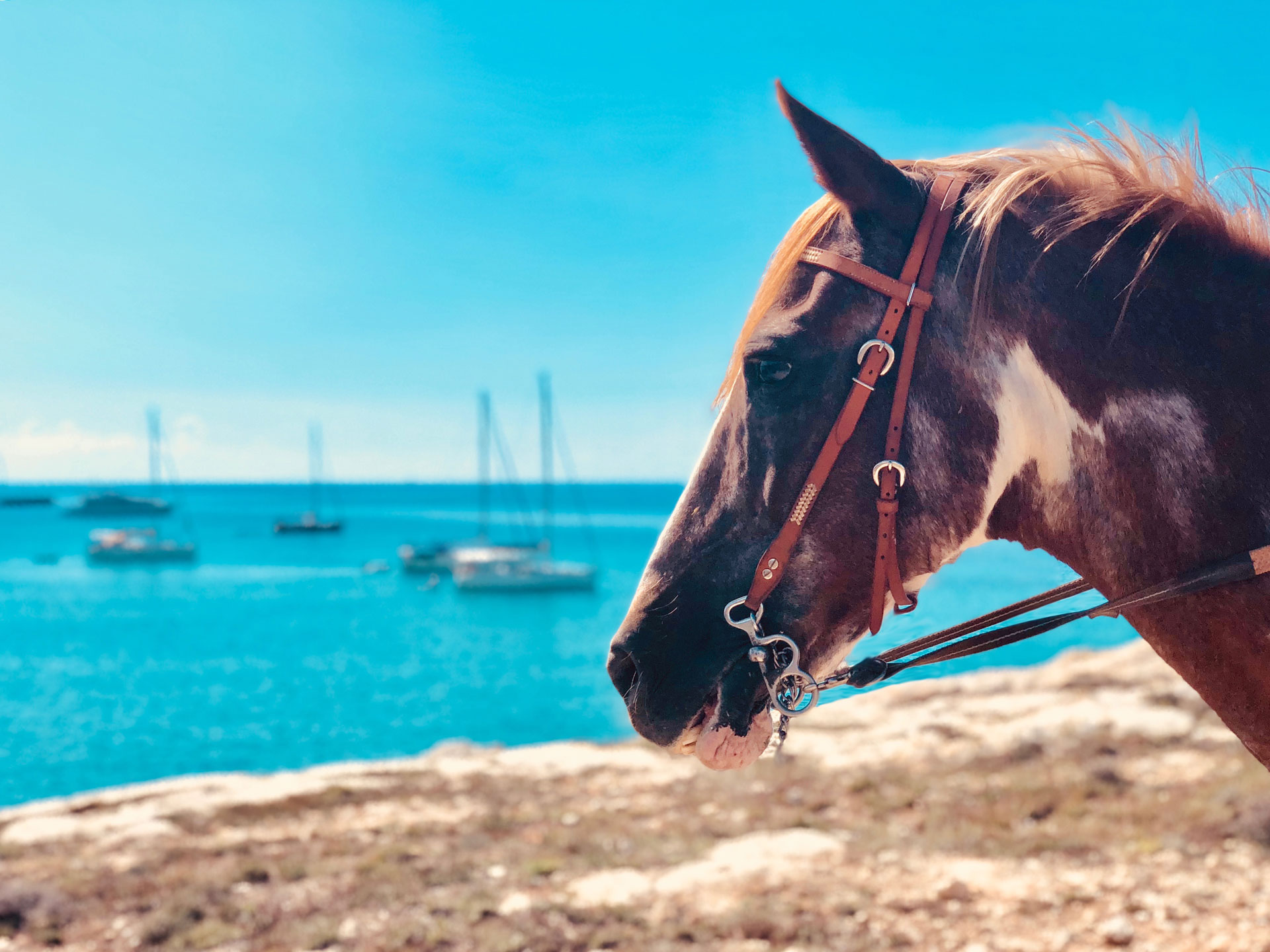 Son Bou rutas a caballo en Menorca